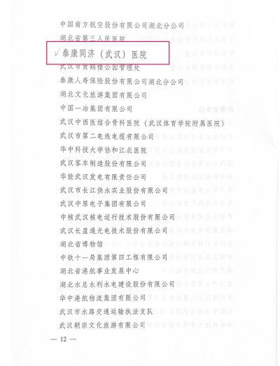 各區(qū)委平安建設領導小組，市委平安武漢建設領導小組各成員_頁面_2